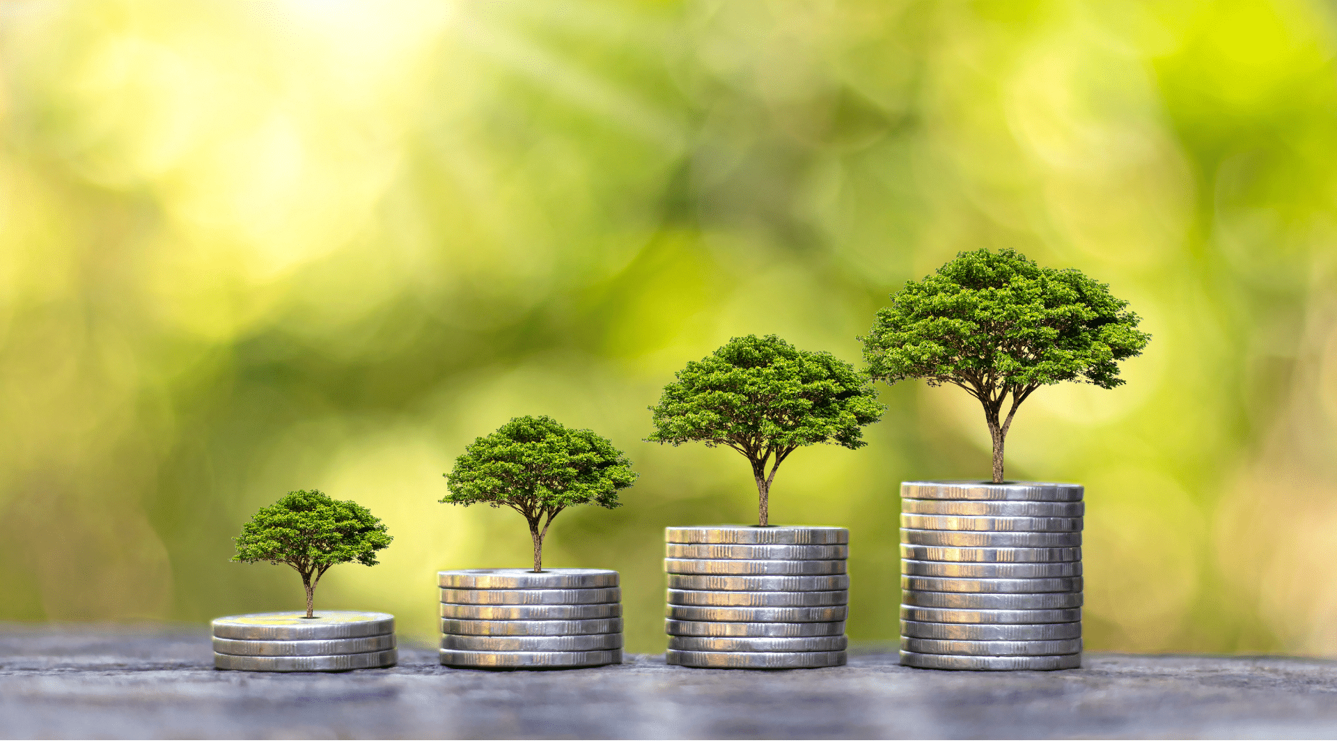 Förderung Wärmepumpe